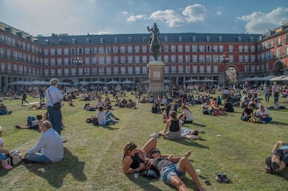 Instalación ajardinada en la Plaza Mayor de Madrid que tuvo lugar en septiembre de 2017 a cargo del artista SpY.