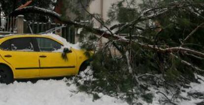 Un árbol derrumbado sobre un coche, tras la nevada fruto del temporal Filomena, en Pozuelo de Alarcón (España).