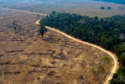 Vista aérea de áreas queimadas da floresta amazônica, no Brasil.
