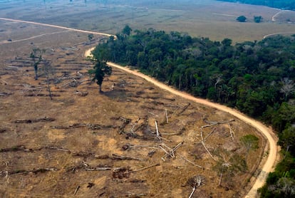 Vista aérea de áreas queimadas da floresta amazônica, no Brasil.