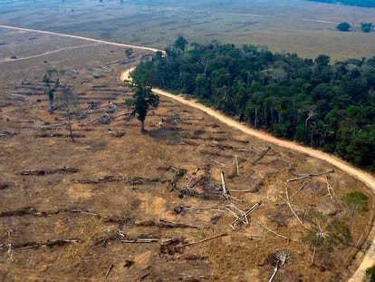 Vista aérea de áreas queimadas da floresta amazônica, no Brasil.