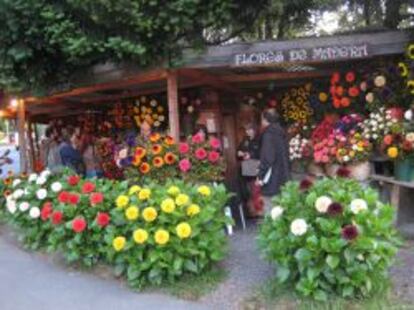 Flores de madera, t&iacute;picas de Puc&oacute;n, con las que los artesanos alcanzan formas y colores de un realismo que enga&ntilde;a al paseante.