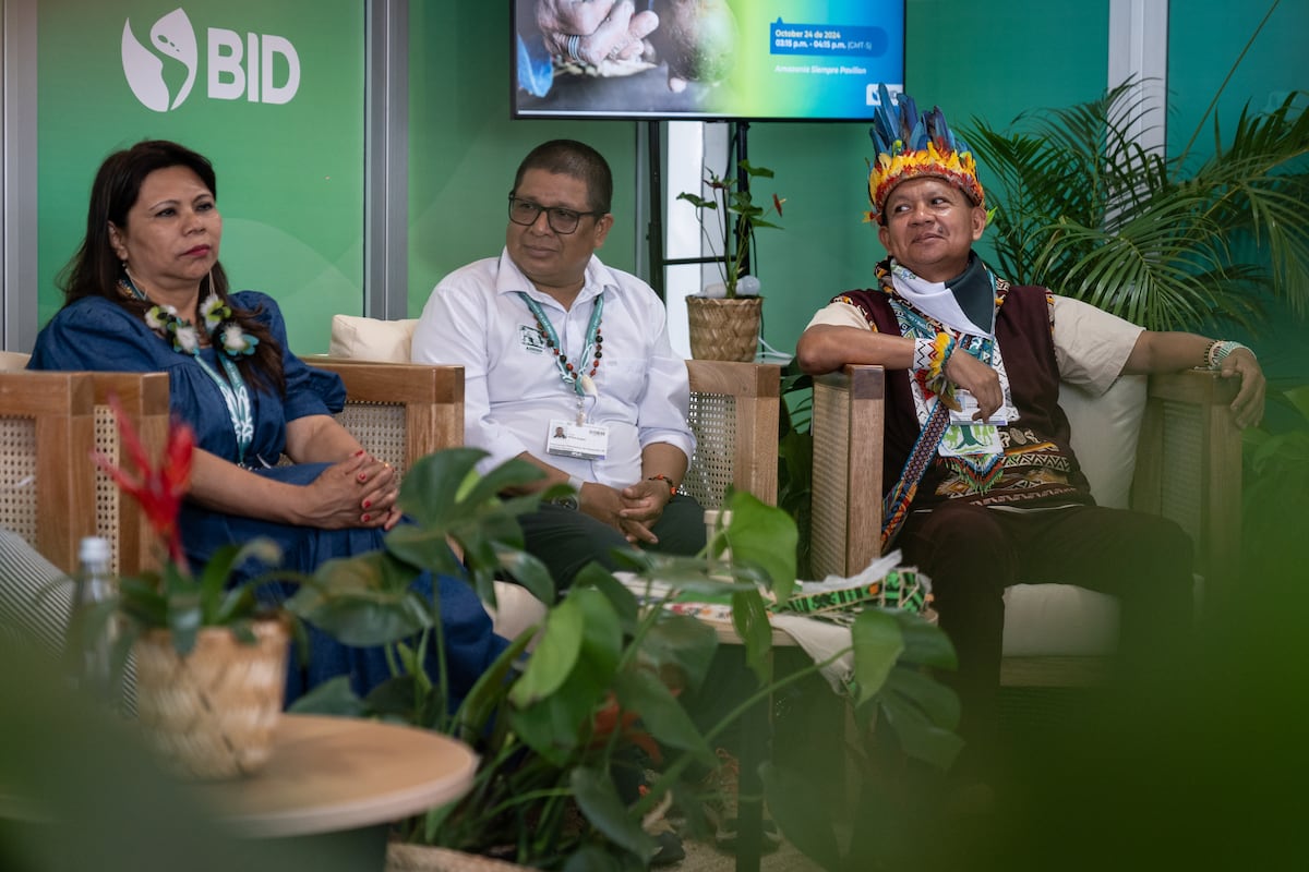 Indigenous peoples call for direct funding to protect nature at COP16 ...