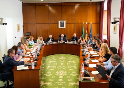 Reunión de la Diputación Permanente del Parlamento andaluz.
REMITIDA / HANDOUT por JOAQUÍN CORCHERO/PARLAMENTO DE ANDALUCÍA