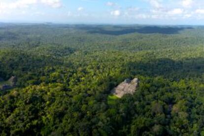 Yacimiento arquelógico maya de Caracol, en Belice.