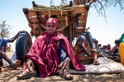 En uno de los campos de desplazados internos en Baidoa, Somalia, una mujer y su hija descansan debajo de un árbol mientras esperan la ayuda de las entidades que apoyan a los desplazados internos. La mayoría de las personas que llegan a los campamentos han estado caminando durante días, a menudo sin suficiente comida ni agua.