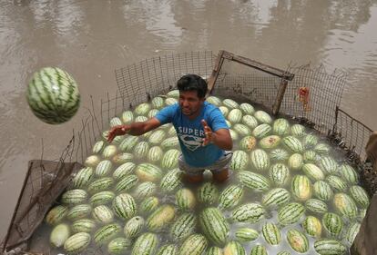 Un vendedor mantiene las sandías frescas en un habitáculo con agua en Jammu (India).