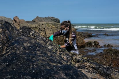 Uma voluntária ajuda a limpar as pedras na praia da Pedra do Sal, na Bahia.