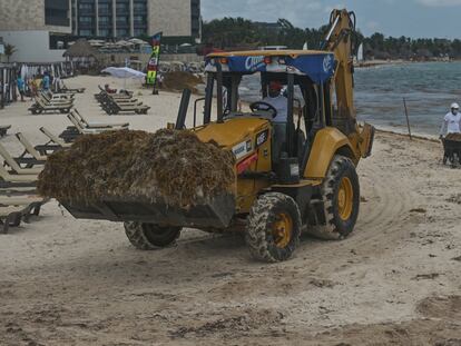 Trabajadores usan una excavadora, palas y carretillas para remover el sargazo en Playa del Carmen (Quintana Roo), en abril de 2022.