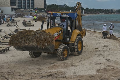 Temporada de sargazo