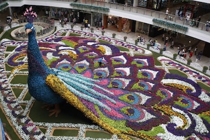 Para celebrar el 60 aniversario de la Feria de las Flores, un centro comercial de Medellín ha creado un pavo real con 182.000 flores y 12 metros de altura.