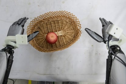 Entrenamiento de un robot humanoide de la empresa china MagicLab que tiene una misión: coger una manzana.