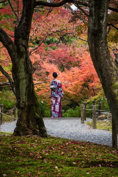 Otoño en el templo Tofukuji.