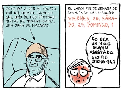 Viñetas de 'Algo extraño me pasó camino de casa' (2020), cómic de Miguel Gallardo publicado por Astiberri.