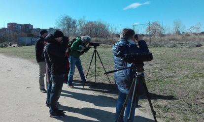 Observación de aves en el solar de la cárcel de Carabanchel.