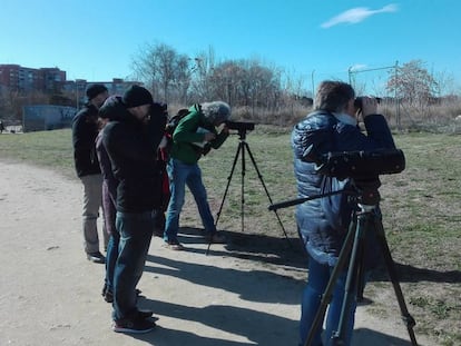 Observación de aves en el solar de la cárcel de Carabanchel.