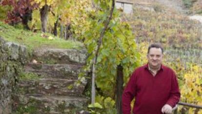 José Manuel Silva en un viñedo de Chantada