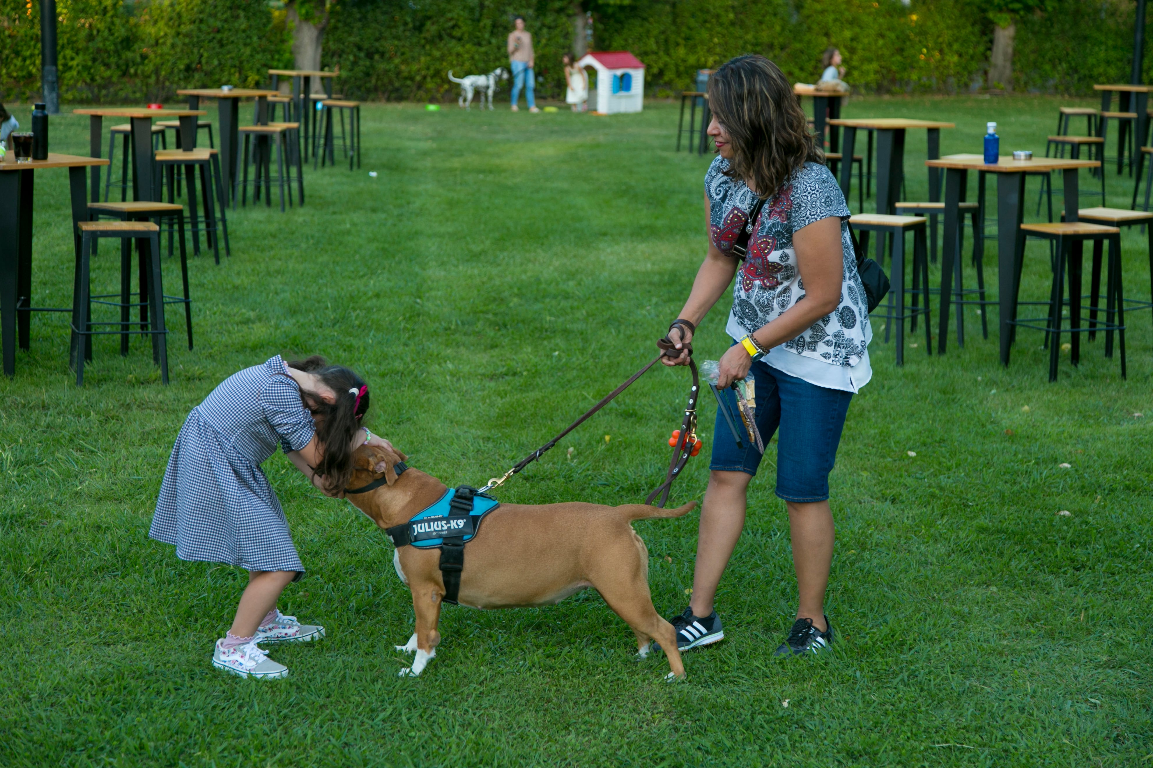 El club de Madrid en el que el socio es el perro 