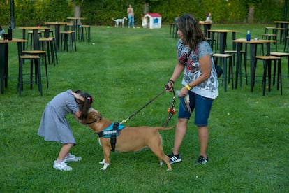 Una niña abraza a un perro durante la inauguración del Club canino Somontes-Miraflores, este viernes en Madrid.