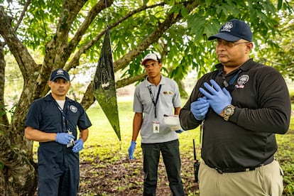 Carlos Sánchez, Supervisor de Campo de Desarrollo de Métodos y su equipo de investigadores recolectan moscas de gusano barrenador desde una trampa VST.