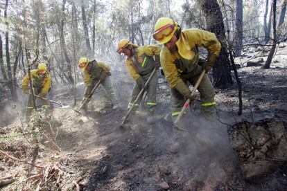 Miembros del servicio de extinción se afanan en sofocar las llamas en uno de los bosques afectados por el fuego del Alto Tajo.