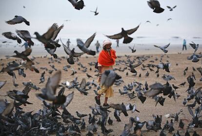 Un santo hindú rodeado de pájaros en una playa de Bombay, India.