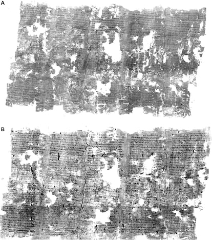 Detalle de los papiros de Herculano. Imagen cedida por Consiglio Nazionale delle Ricerche