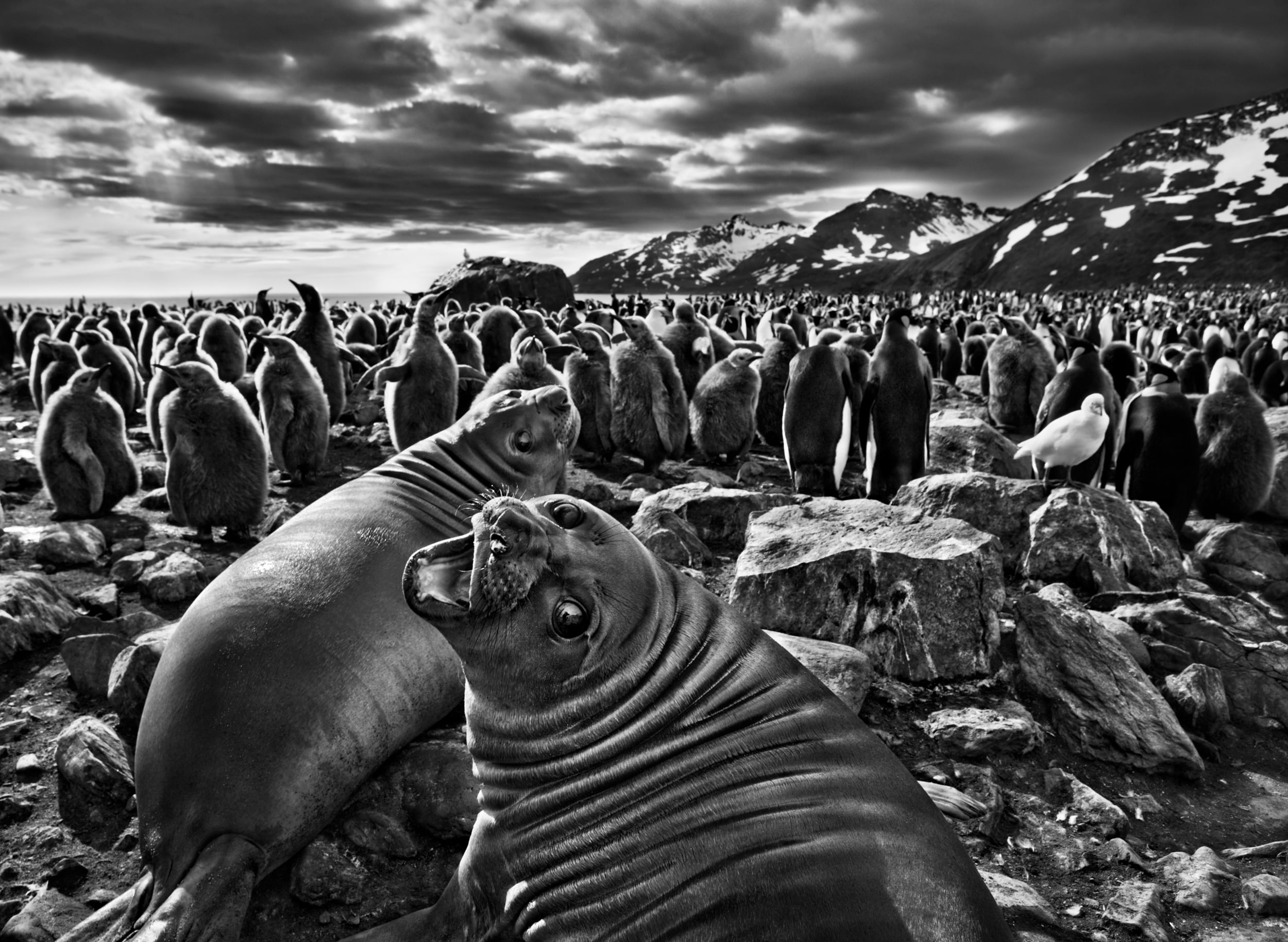 “Si viviéramos miles de años entenderíamos las montañas”: las últimas reflexiones de Sebastião Salgado