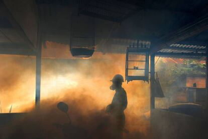 Un trabajador indonesio fumiga una zona residencial debido a los mosquitos, en Banda Aceh (Indonesia).