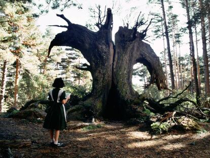 ‘El laberinto del fauno’, realidad y fantasía abrazadas