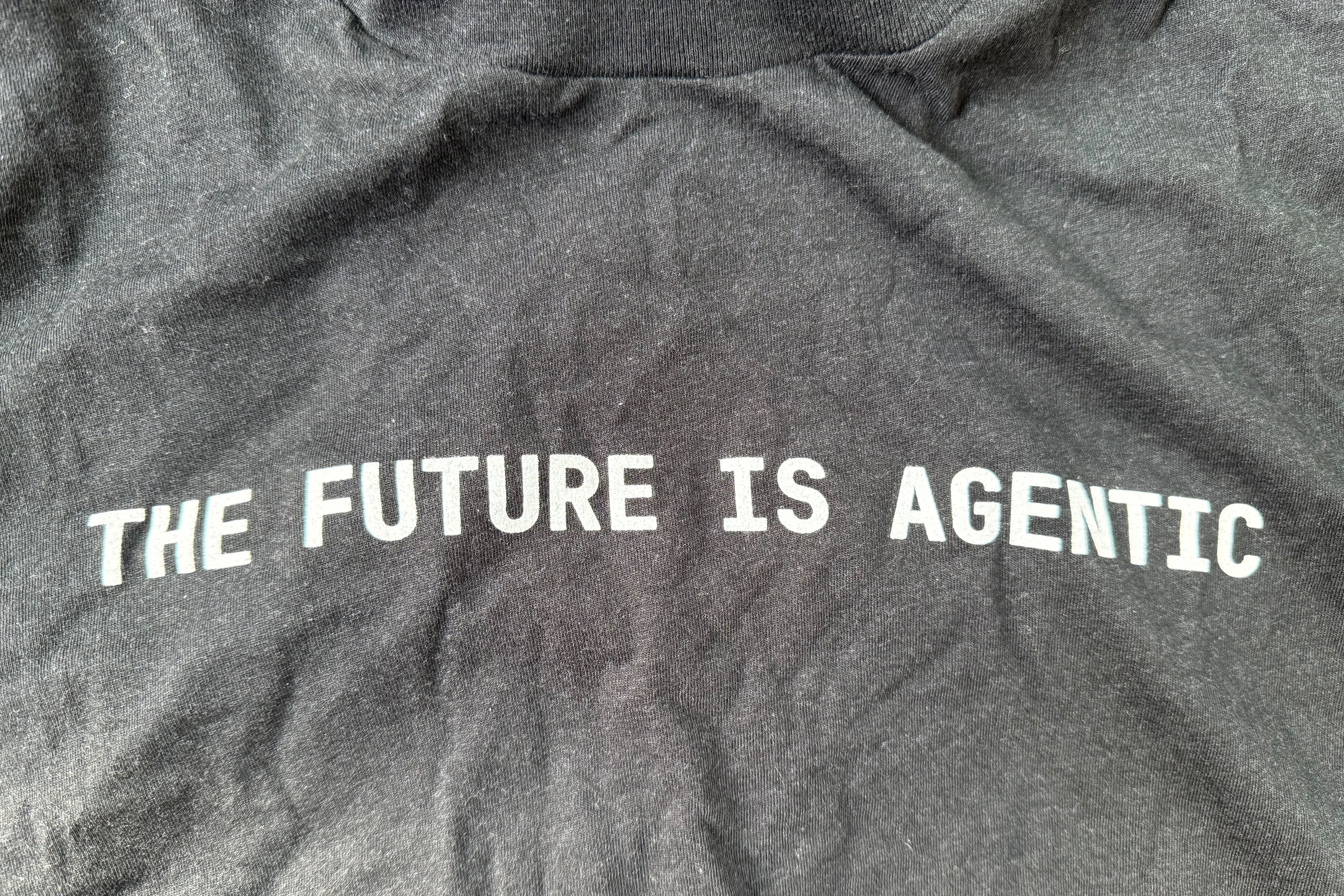 ¿Qué es la web agéntica? Así delegaremos nuestras decisiones en enjambres de máquinas pensantes 