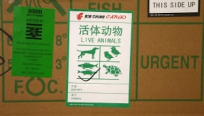 Pegatinas para el transporte de animales en China.
