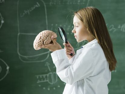 En la actualidad se sabe que no es así. Hay distintas zonas que procesan información o aptitudes diferentes pero usando la mayoría de nuestro tejido neuronal. De hecho, el neuropsicólogo infantil <a href="http://economia.elpais.com/economia/2017/04/07/actualidad/1491560365_856557.html" target="_blank">José Ramón Gamo</a> apunta que “la neurociencia ha demostrado que en la realización de tareas utilizamos el 100% de nuestro cerebro”.