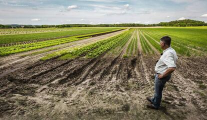 El granjero Ludolf Van Maztlan observa sus cultivos ecológicos en el Estado de Brandeburgo (Alemania).
