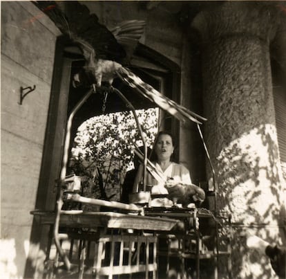 Los dos guacamayos en el balcón del piso principal de La Pedrera, en una imagen de la familia de Roser Segimon sin fecha conocida.