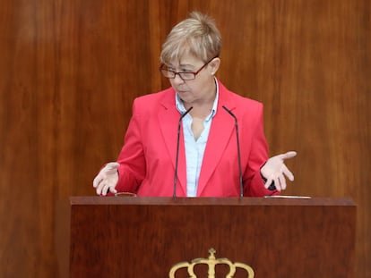 La diputada del PSOE María Carmen López Ruiz, en un pleno de la Asamblea.