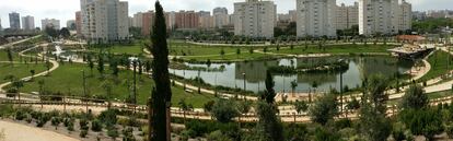 La Marjal, a pocos metros de la línea de costa en San Juan (Alicante), es el primer parque urbano inundable de España. Constituye un refugio para la biodiversidad.