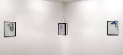 Las holografías, 'XX', 'Hellem, Hellem, Hellem!' y 'XX', de Alfredo Rodríguez, expuestas en la galería Espacio Valverde.