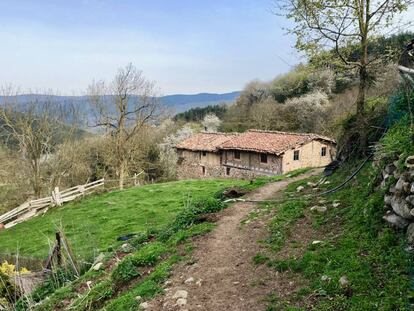 Estampa de Tondeluna / Capel