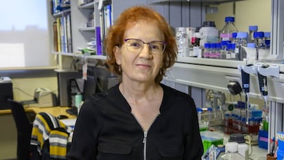 Margarita del Val, viróloga y responsable de la plataforma Salud Global del CSIC.
