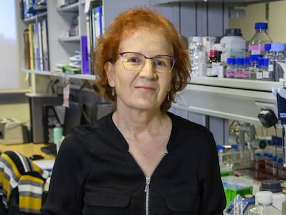 Margarita del Val, viróloga y responsable de la plataforma Salud Global del CSIC.