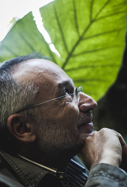 Stefano Mancuso, retratado en los invernaderos del Real Jardín Botánico de Madrid.