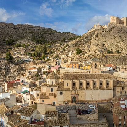 Mula Murcia
