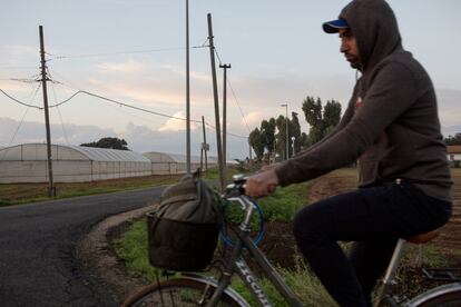 Un trabajador indio vuelve a casa tras su jornada laboral. La bicicleta es el medio de transporte más utilizado para desplazarse por el campo.