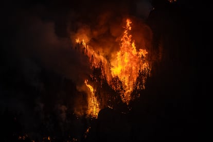 Vista de las llamas en las proximidades de Aguamansa, el jueves.