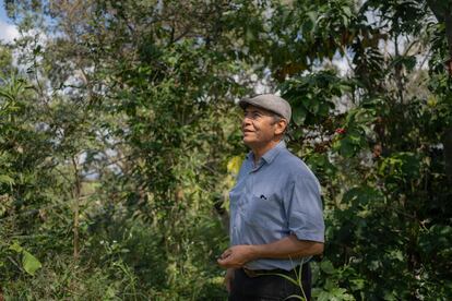 Cirio Ruiz, titular del Consejo Regional de Cafe de Coatepec, contempla sus cultivos en su finca ubicada en el ejido Echeverría, Veracruz.`