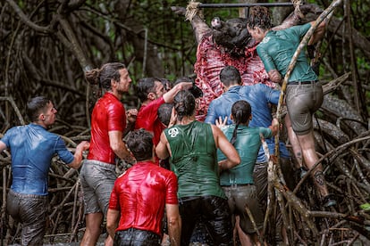 Varios concursantes del 'reality' 'El conquistador del Caribe' (ETB)  intentaban arrancar con la boca trozos de un cerdo en el "desafío caníbal".