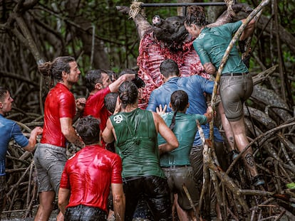 Varios concursantes intentan arrancar con la boca trozos de un cerdo en el desafío caníbal.