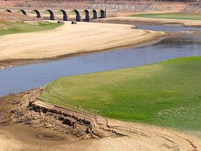 Aspecto del embalse de Ricobayo (Zamora ) sobre el río Esla, tras el vaciado, el 11 de agosto.