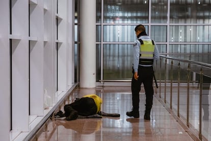 Personal de seguridad del aeropuerto expulsa a personas sin techo de la Terminal 1 durante el operativo de AENA.